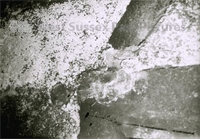 PP_WDOAM_KEXWB.db.SD.661 copy.jpg