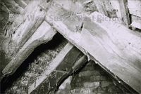 PP_WDOAM_KEXWB.db.SD.662 copy.jpg