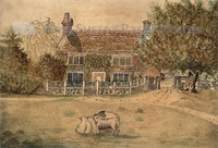 PP_WSL_WA000233 copy.jpg