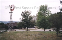 PP_AMCPM_P7003 copy.jpg