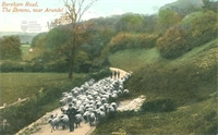 PP_ARUHC_CIV54 copy.jpg