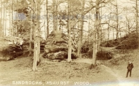 PP_EGRTM_2340.420 copy.jpg