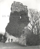 PP_STJSM_1984.59 copy.jpg