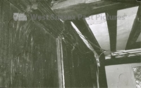 PP_WDOAM_KEXWB.db.SD.369 copy.jpg