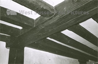 PP_WDOAM_KEXWB.db.SD.372 copy.jpg