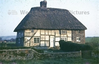 PP_WDOAM_KEXWB.db.SD.399 copy.jpg