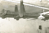 PP_WDOAM_KEXWB.db.SD.567 copy.jpg