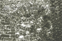 PP_WDOAM_KEXWB.db.SD.627 copy.jpg