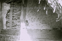 PP_WDOAM_KEXWB.db.SD.635 copy.jpg