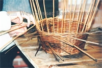 PP_WDOAM_LP.db.SD.081.RTC copy.jpg