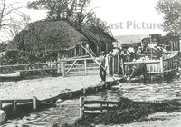 PP_WDOAM_P.380.db.AJ copy.jpg