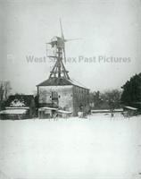 PP_WDOAM_P.709.db.AJ.196 copy.jpg