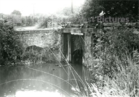 PP_WDOAM_P.945.7.db.AJ copy.jpg
