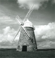 PP_WDOAM_P994.1a.db.AJ.236 copy.jpg