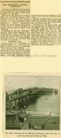 PP_WSL_CUT000006 copy.jpg