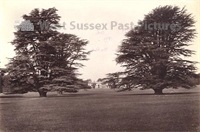 PP_WSL_P000979 copy.jpg