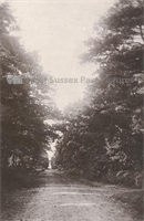 PP_WSL_PC006165 copy.jpg