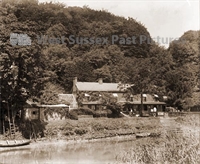 PP_WSL_WGNG000174 copy.jpg