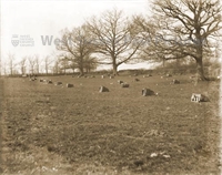 PP_WSL_WGNG000086 copy.jpg