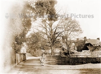 PP_WSL_WGNG000222 copy.jpg