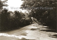 PP_WSL_WGP000215 copy.jpg