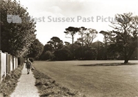 PP_WSL_WGP000217 copy.jpg