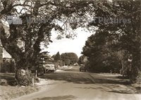 PP_WSL_WGP000218 copy.jpg